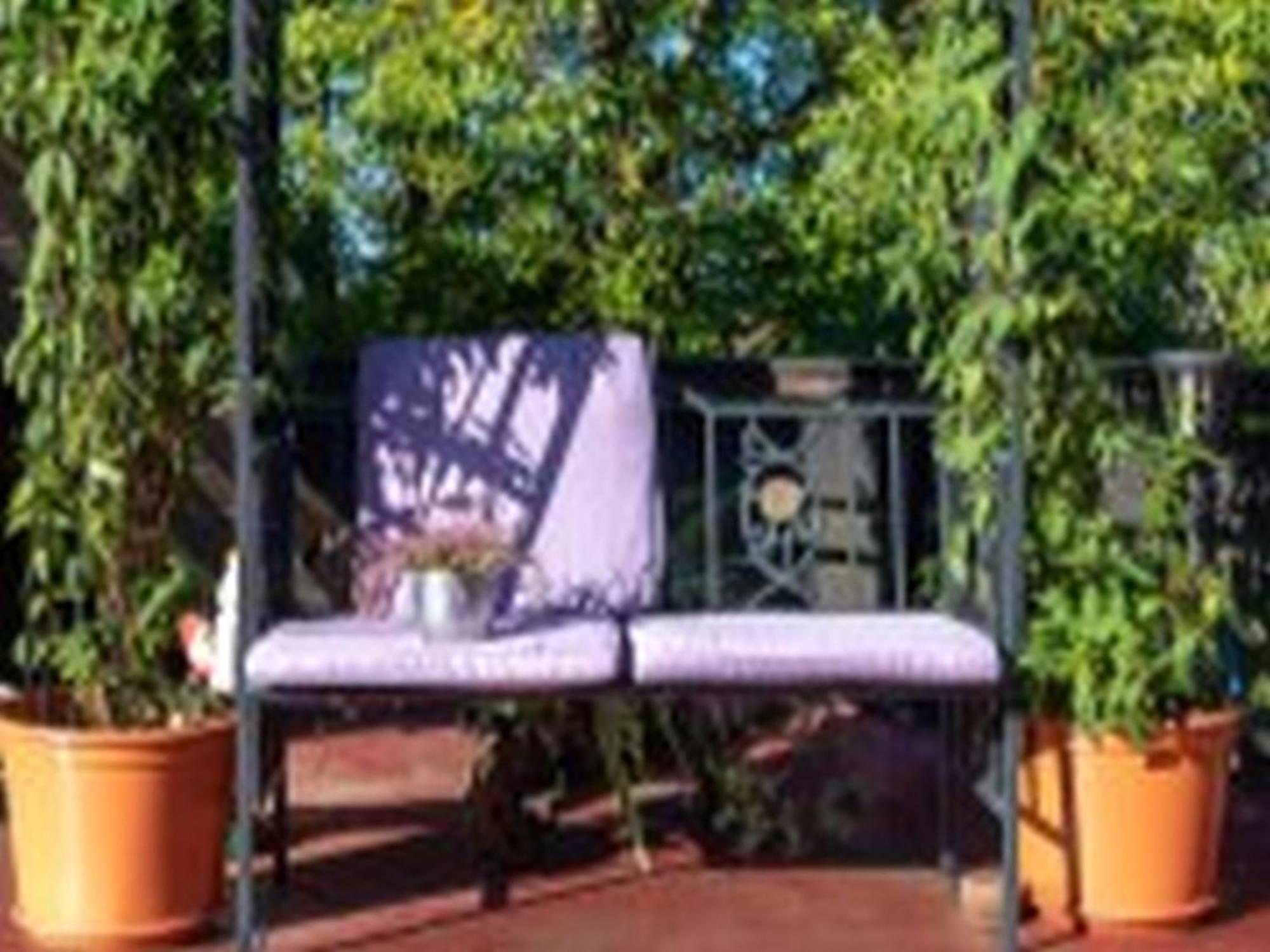 Pension Haus Monika Sasbachwalden Esterno foto